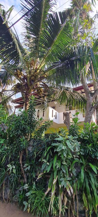 Wimala B&B Μπεντότα Εξωτερικό φωτογραφία